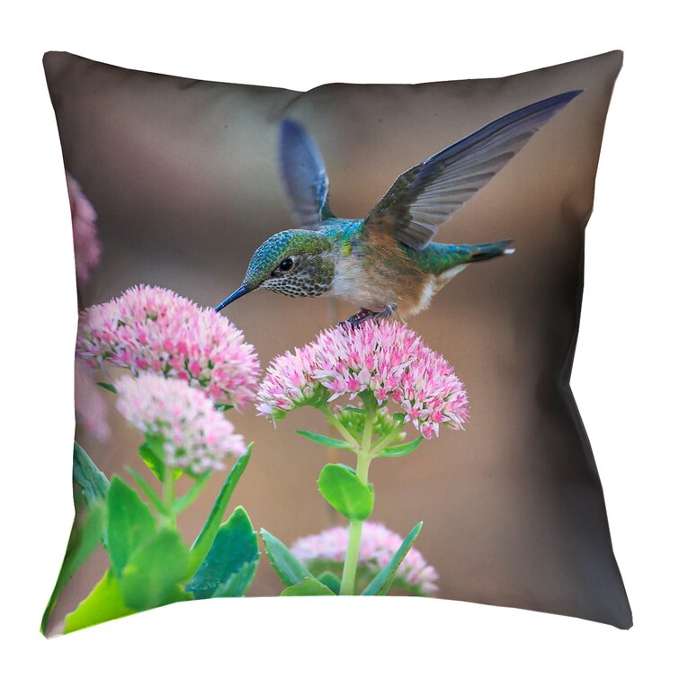 Hummingbird throw online pillows